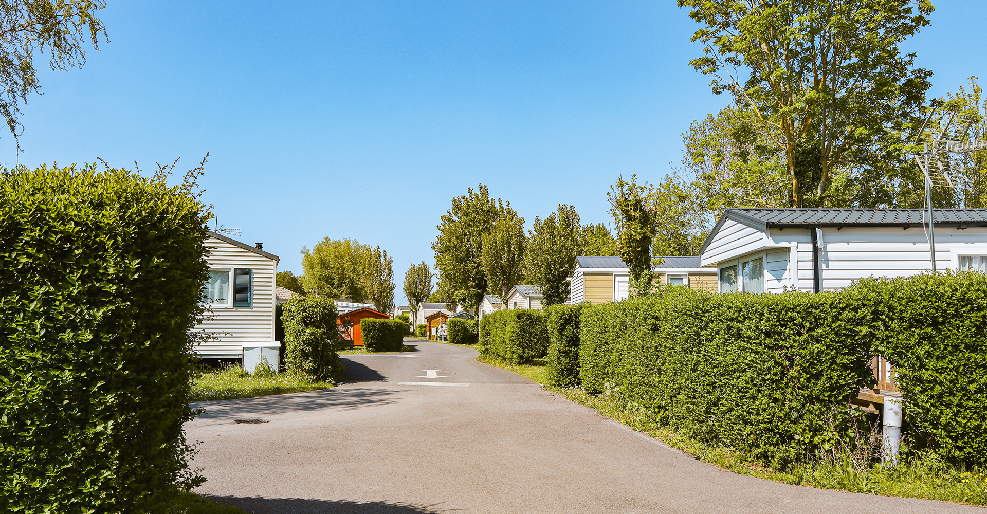 camping vertes feuilles nature et authentique
