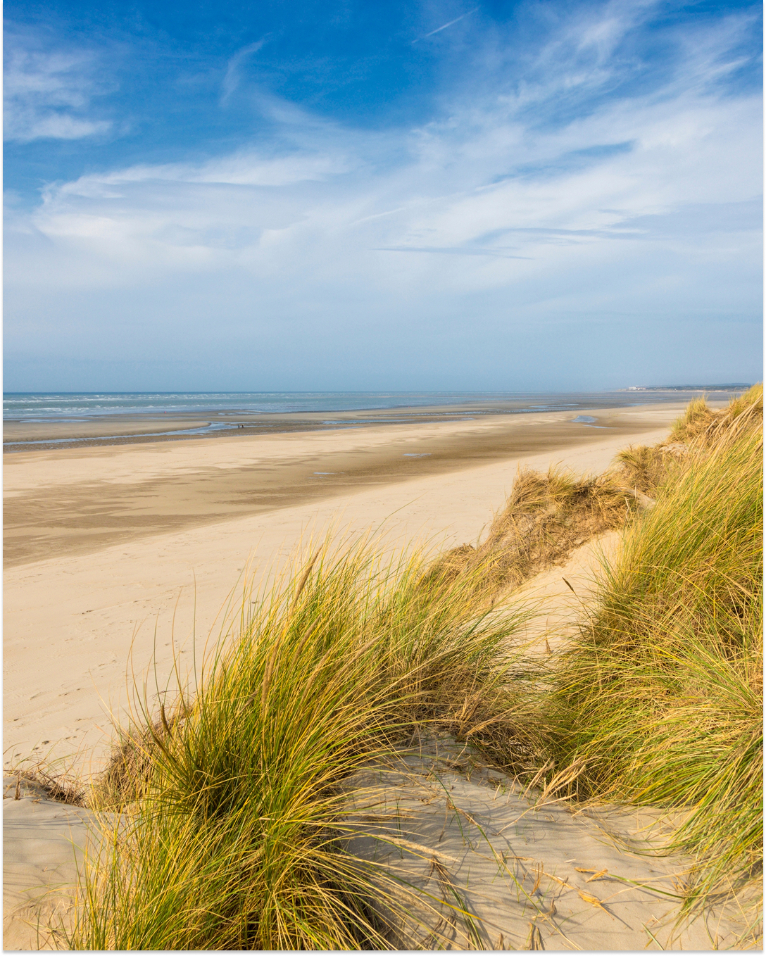 camping nature vertes feuilles a quend plage