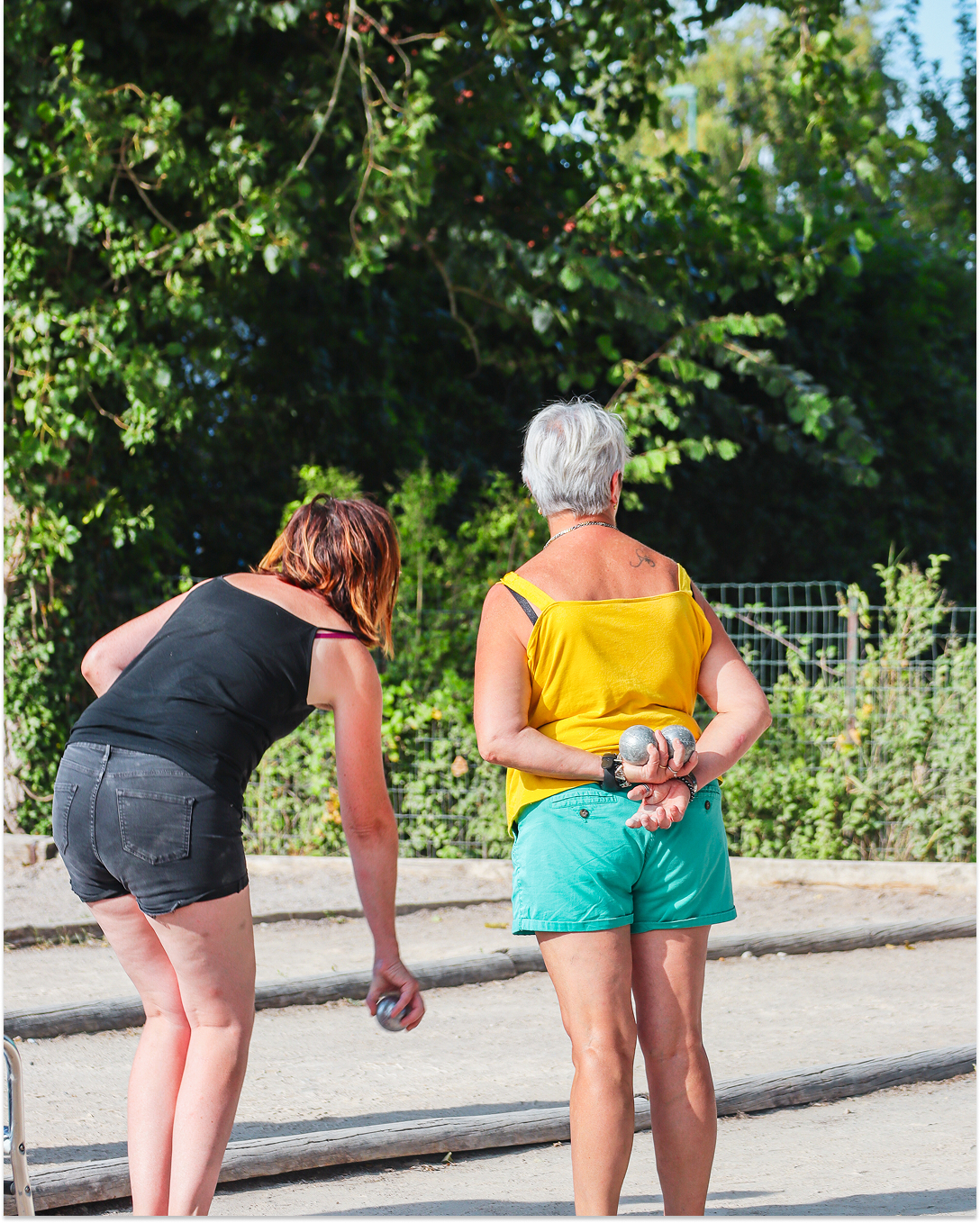 camping nature vertes feuilles les activites