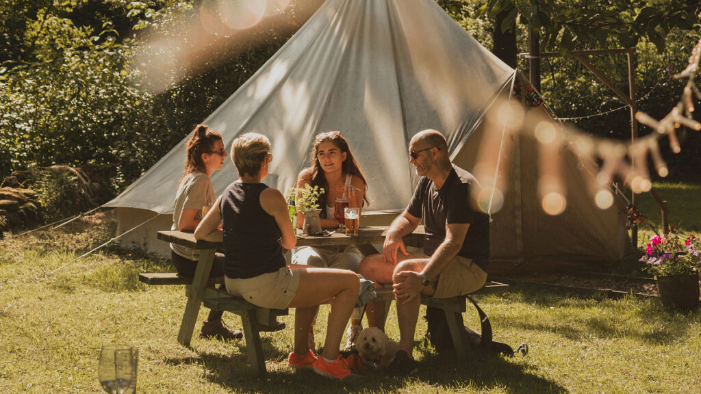 camping nature vertes feuilles les emplacements