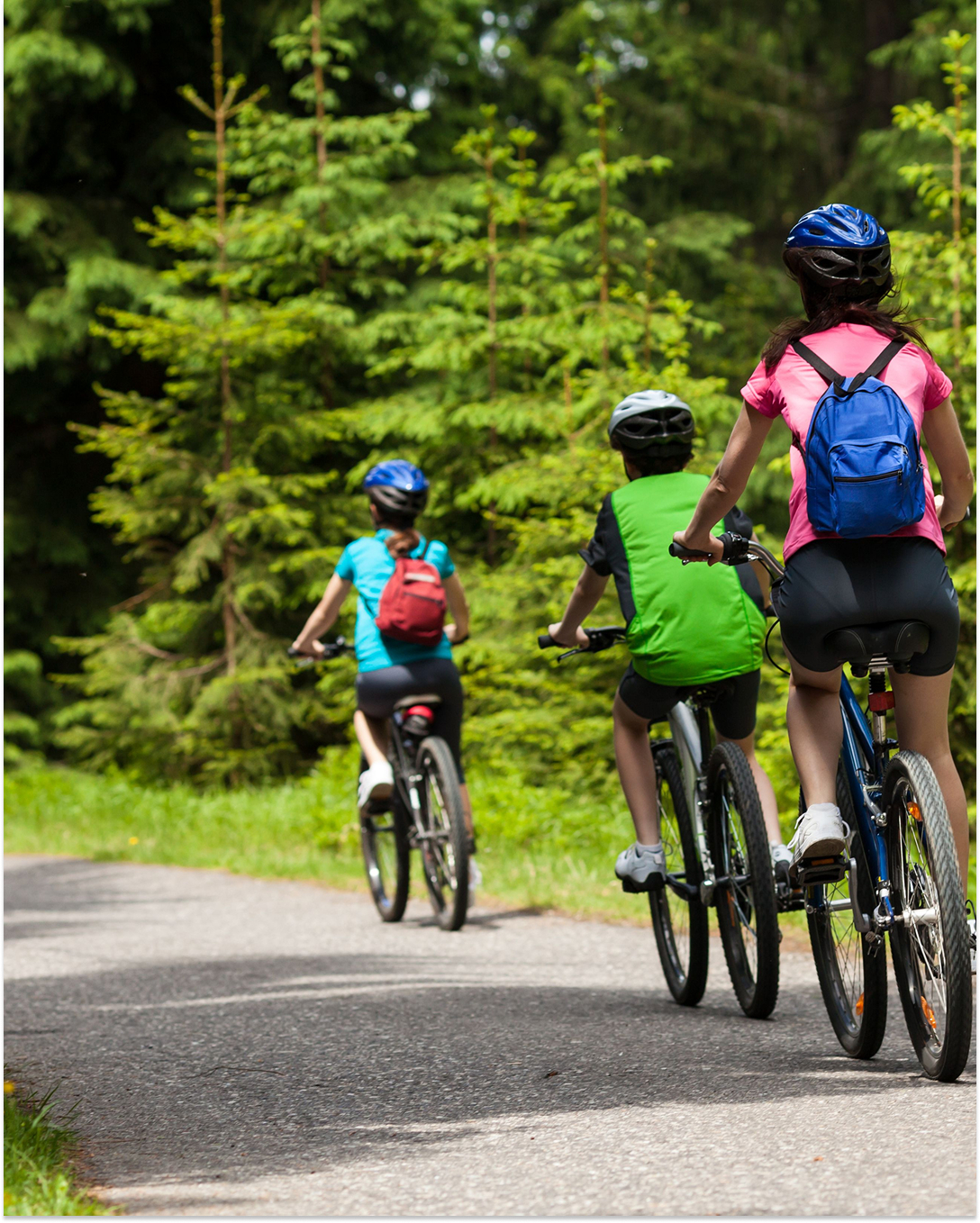 camping nature vertes feuilles les services