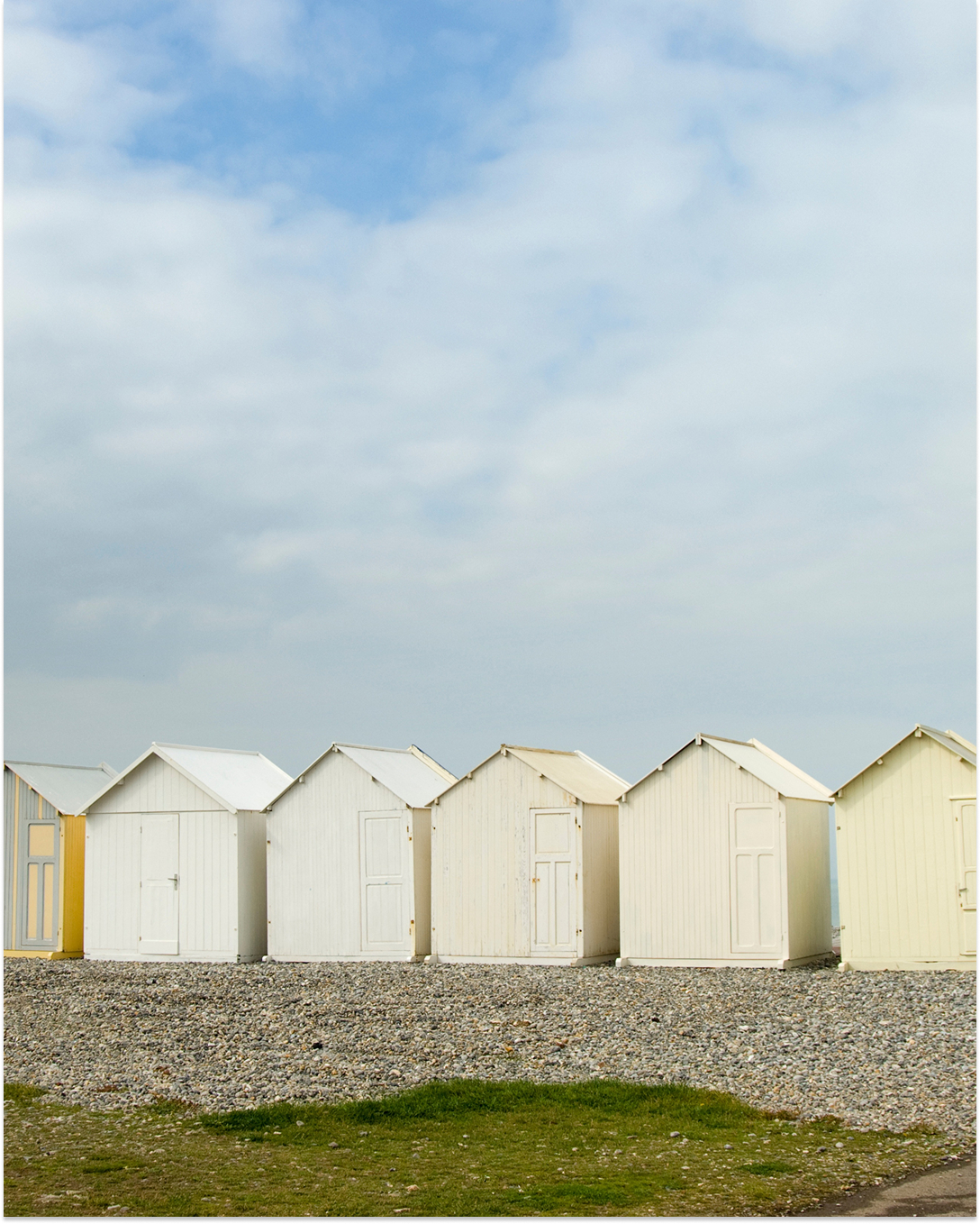 camping nature vertes feuilles proche de Cayeux sur Mer