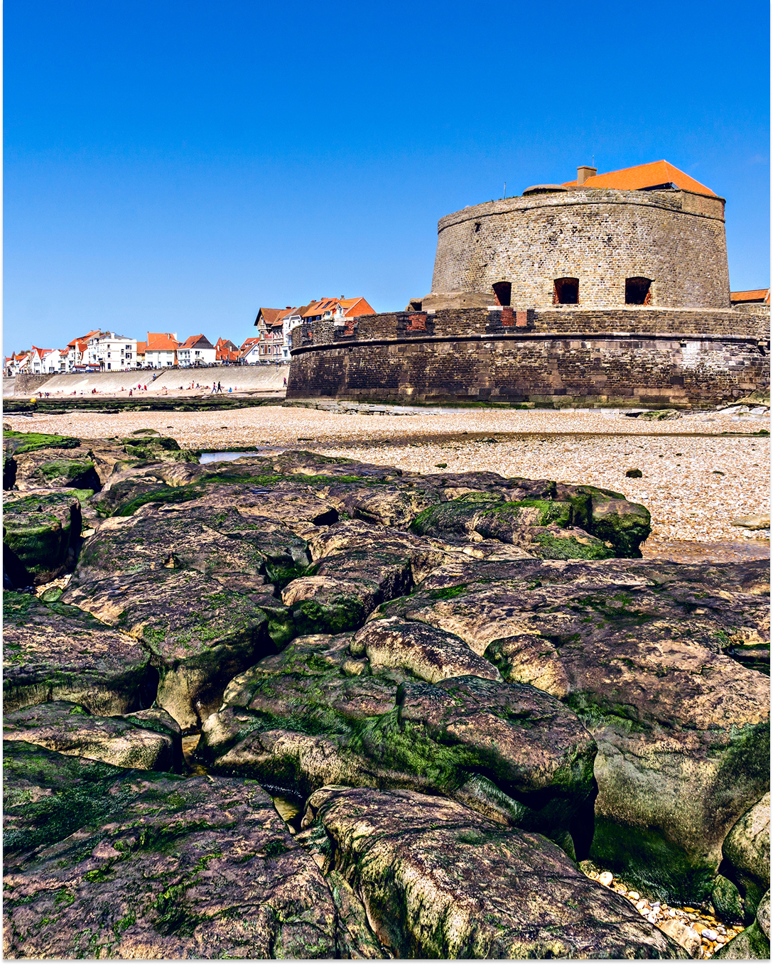 camping nature vertes feuilles proche de fort mahon