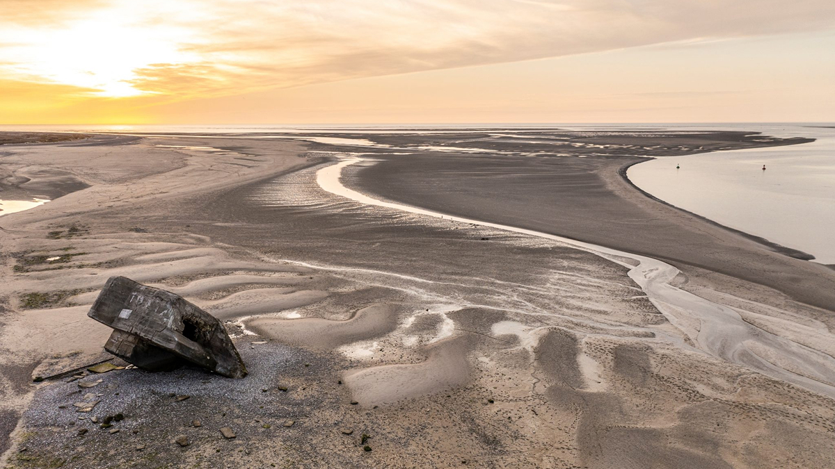 camping vertes feuilles la nature