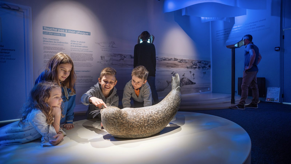 camping vertes feuilles visites culturelles